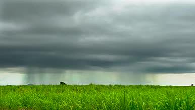 阴雨恶劣天气下的农田延时拍摄视频的预览图